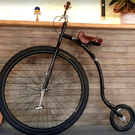 Achat vélos de cirque